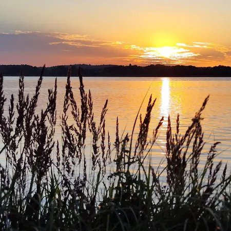 Seedorf 4 Basedow (Mecklenburg-Vorpommern)